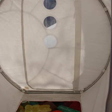 Dreams Bubble Bed & Breakfast Gourdon (Alpes-Maritimes)